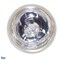 BulbAmerica EFP 100 watts 12 volts HLX GZ6.35 2-Pin Halogen Light Bulb